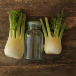 pickled fennel