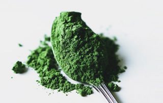 spirulina powder