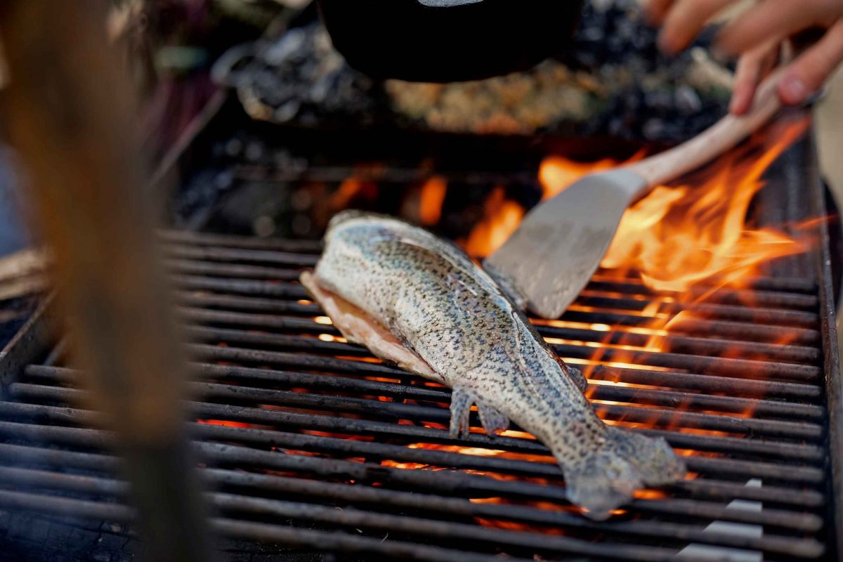 Trout cooked on fire
