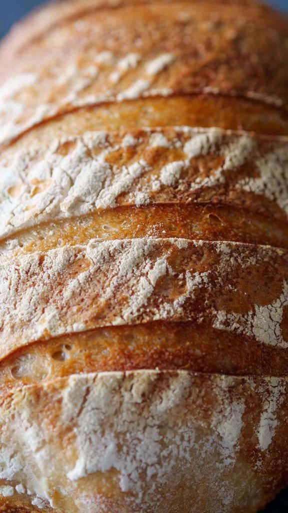 Sourdough bread Recipe